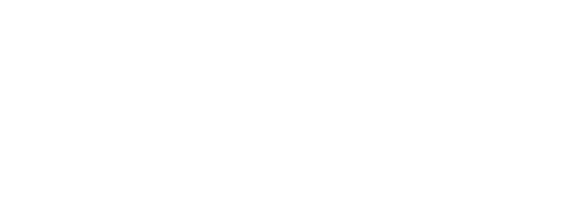 Bevertec Software Solutions Logo